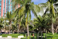 Miami City Private Tour thumbnail 6
