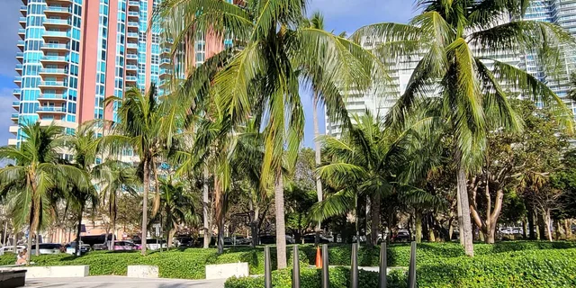 Miami City Private Tour - Image 6