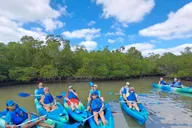 Marco Island Kayak Mangrove Ecotour in Rookery Bay thumbnail 3