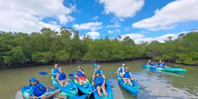 Marco Island Kayak Mangrove Ecotour in Rookery Bay - Image 3