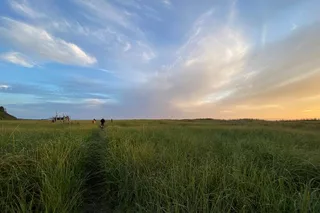 Seabrook Washington Private Shore Exploration