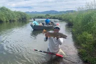 Jackson Hole Fly Fishing Trip thumbnail 6