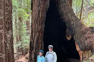Big Sur eBike Tour on Old Coast Road thumbnail 6