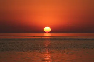 Islamorada Eco-Cruise at Sunset
