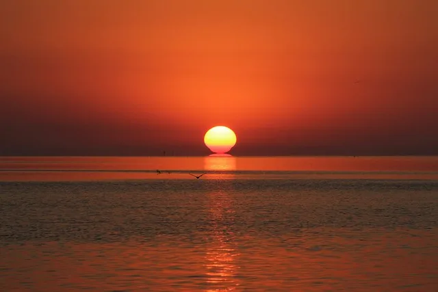Islamorada Eco-Cruise at Sunset - Image 1