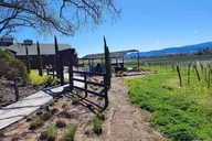 Sonoma and Napa Private Champagne and Wine Tour thumbnail 3