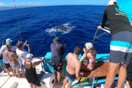 Kaanapali Whale Watching Cruise with Open Bar thumbnail 3