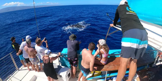 Kaanapali Whale Watching Cruise with Open Bar - Image 3