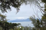 Sitka Alaskan Wilderness Trail Hike thumbnail 3