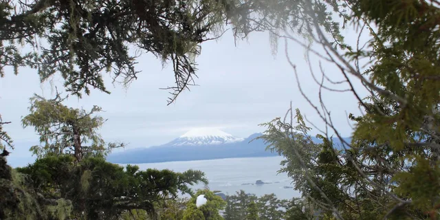 Sitka Alaskan Wilderness Trail Hike - Image 3