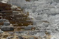 Yellowstone Private SUV Tour Full Day thumbnail 6