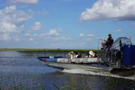 Miami City Tour with Everglades Airboat thumbnail 4