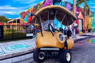 Miami Art Car Tour in Wynwood 1 hr thumbnail 3