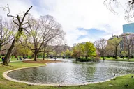Boston Freedom Trail and Harvard Square Driving Tour thumbnail 6