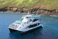 Maui Snorkeling Adventure to Molokini and Turtle Town thumbnail 4