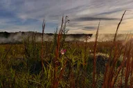 Hawaii Volcanoes National Park Private Tour thumbnail 5