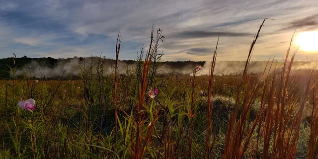 Hawaii Volcanoes National Park Private Tour - Image 5