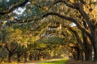 New York to Charleston 5-Day Tour thumbnail 3