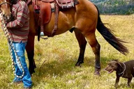 Jackson Hole Horseback Ride and Dinner Cookout thumbnail 3