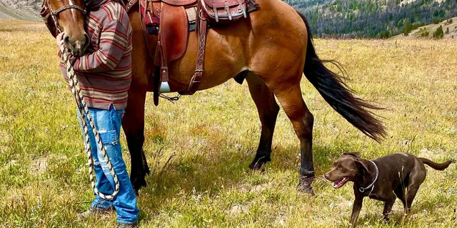 Jackson Hole Horseback Ride and Dinner Cookout - Image 3