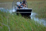 Miami Everglades Airboat Tour thumbnail 4