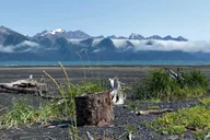 Seward Tonsina Beach Hike thumbnail 1