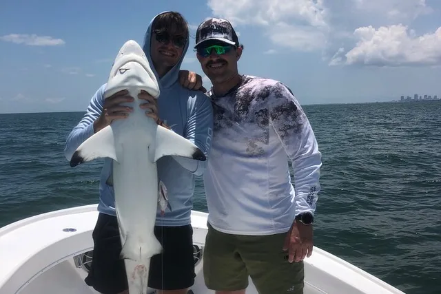 Tampa Bay Shark Fishing - Image 4