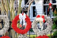 Charleston Walking Tour: Historic Highlights thumbnail 1