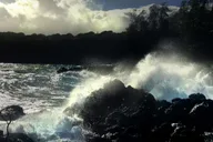 Maui Private Halfway to Hana Tour thumbnail 6