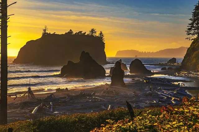 Seattle Rainforest and Olympic National Park Tour - Image 5