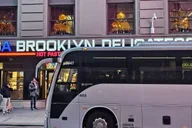New York City Dyker Heights Holiday Lights Tour thumbnail 4