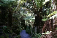 Hawaii Volcanoes National Park Tour from Big Island thumbnail 5