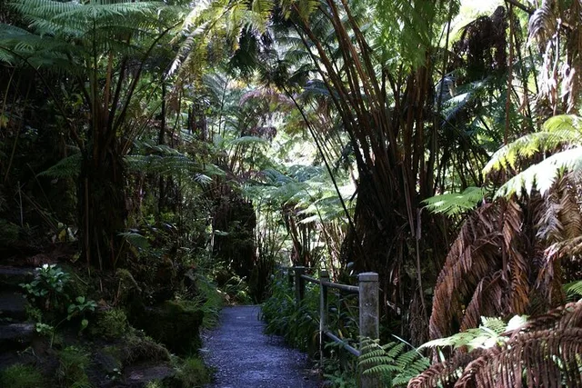 Hawaii Volcanoes National Park Tour from Big Island - Image 5