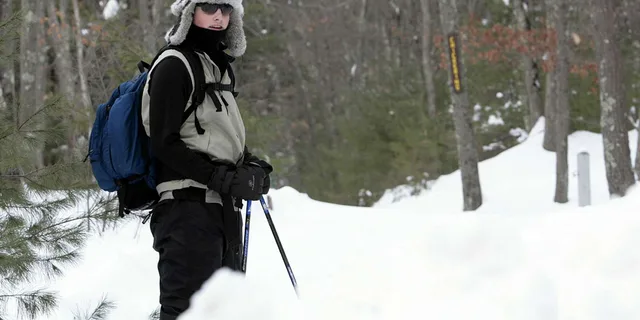 Boston Snowshoe Adventure in Western Massachusetts 8 hr - Image 2