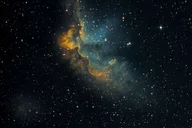 Houston Planetarium Show Ticket thumbnail 6