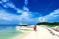Key West Dry Tortugas Boat Trip thumbnail 5