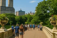 New York Movie Locations Guided Tour 1.5 hr thumbnail 2