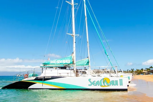 Ka’anapali Beach Snorkel Tour 2.5 Hours - Image 6