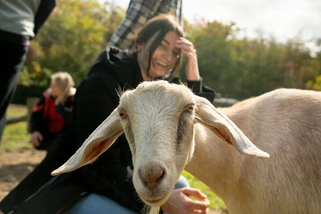 Catskills Farm Tour with Rescue Animals - Image 5
