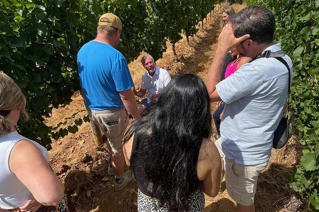 Willamette Valley Wine Tour - Image 3