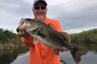 Sebring Lake Istokpoga Bass Fishing Charter thumbnail 3