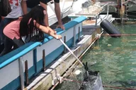 Miami Fish Feeding Experience thumbnail 3