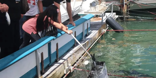 Miami Fish Feeding Experience - Image 3