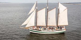 Charleston Schooner Sailing & Dolphin Watch 1.5 hr