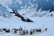 Juneau Helicopter Dogsledding on Herbert Glacier thumbnail 3