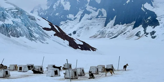 Juneau Helicopter Dogsledding on Herbert Glacier - Image 3