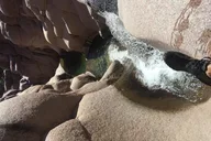 Phoenix Canyoneering Adventure thumbnail 3