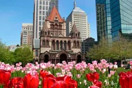 Boston and Cambridge Driving Tour thumbnail 3