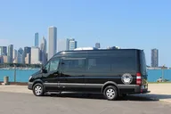 Chicago Private City Tour thumbnail 1