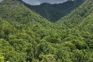 Gatlinburg Self-Guided UTV Rental 2 hr thumbnail 5